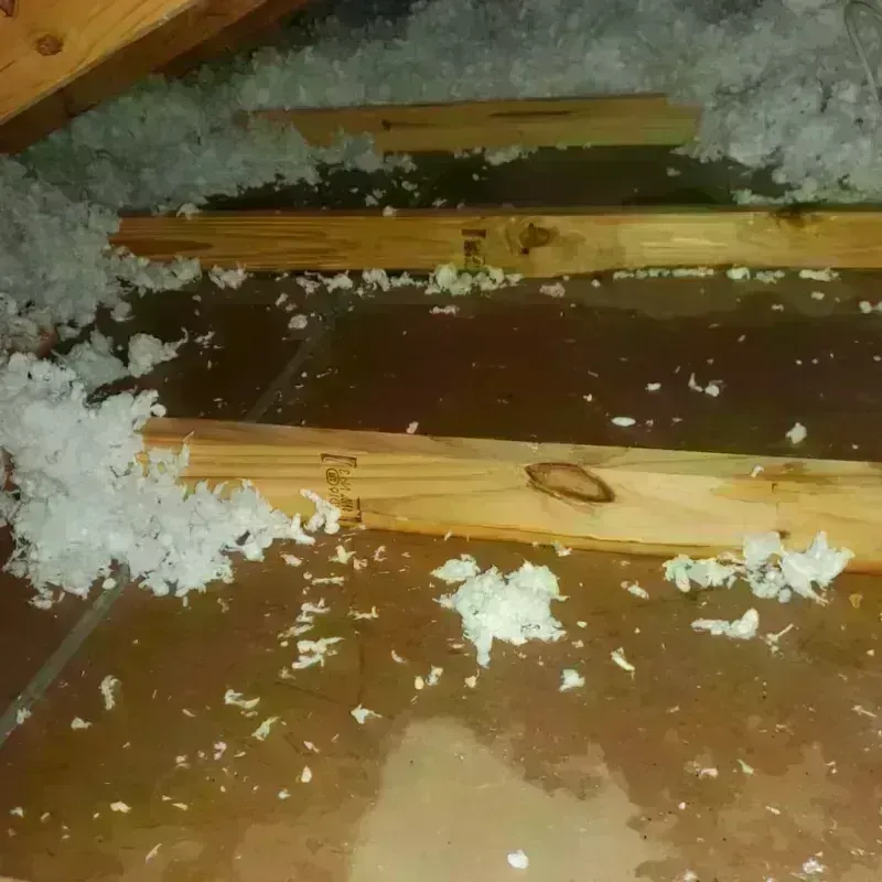 Attic Water Damage in Avon, PA